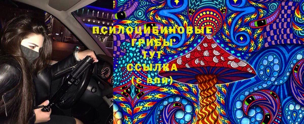 a pvp Володарск