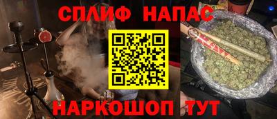 прущие грибы Гатчина