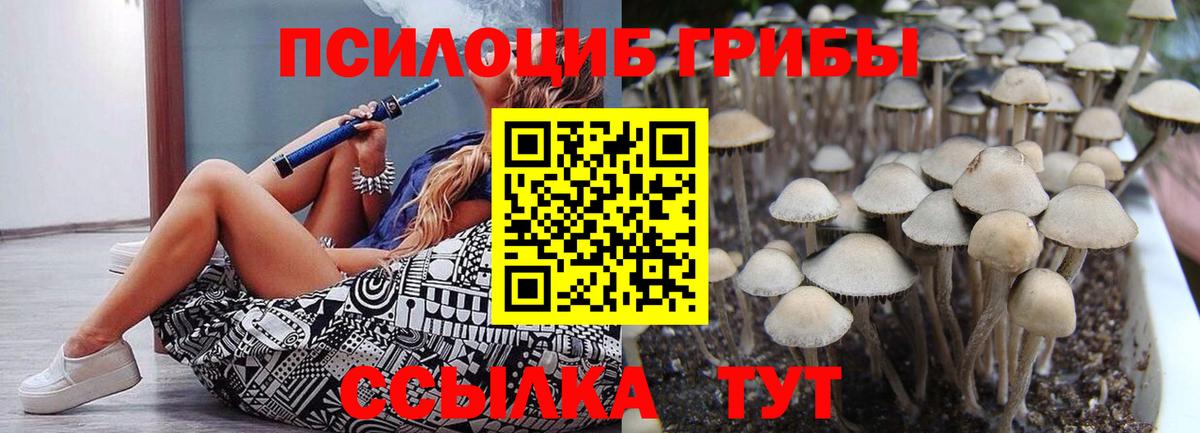 Казань  Галлюциногенные грибы MAGIC MUSHROOMS  Вход с VPN  Галлюциногенные грибы ЛСД 