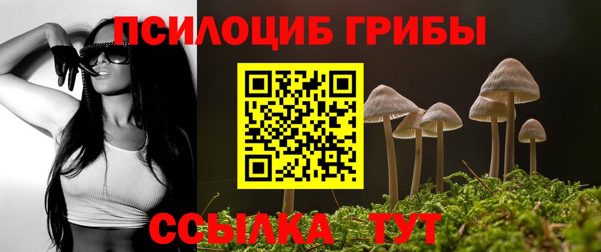 Псилоцибиновые грибы мухоморы Казань