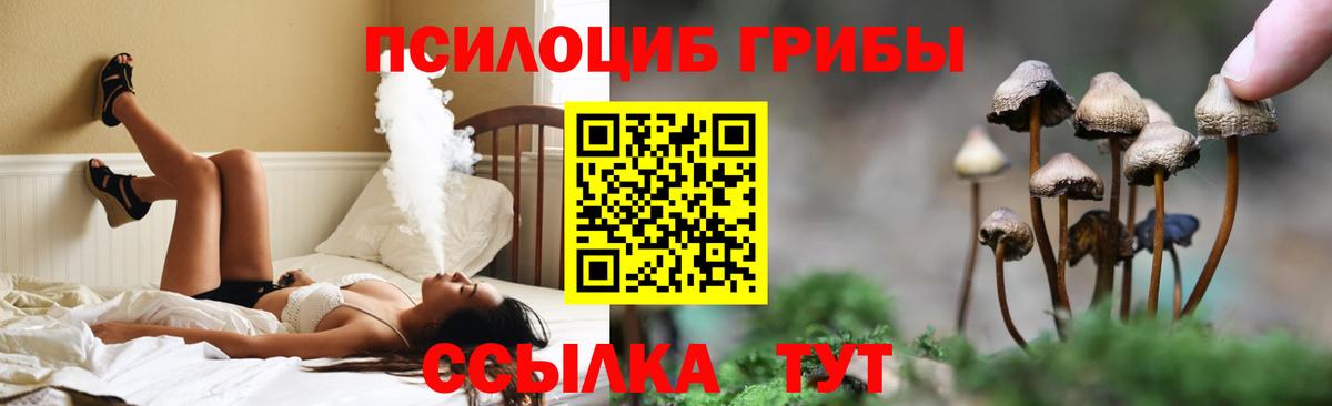 Галлюциногенные грибы ЛСД  Галлюциногенные грибы Psilocybe  Казань 